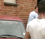 Instead of a car, two cocks