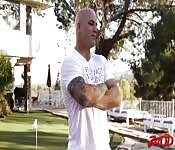 Festival de baise de salope