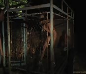 Une blonde punie en BDSM sexy